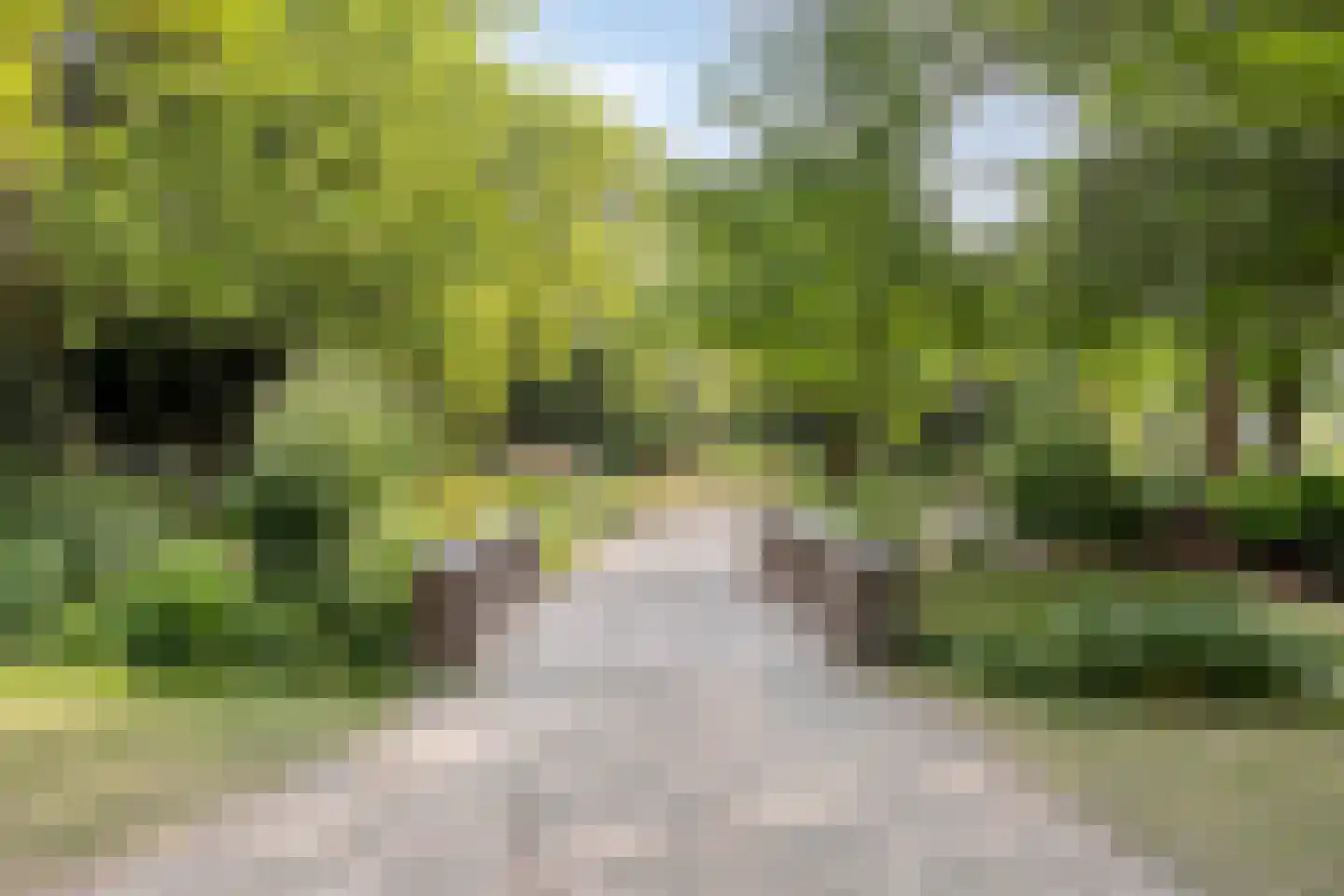 Fortuinstraat 41 Roosendaal thumbnail 27