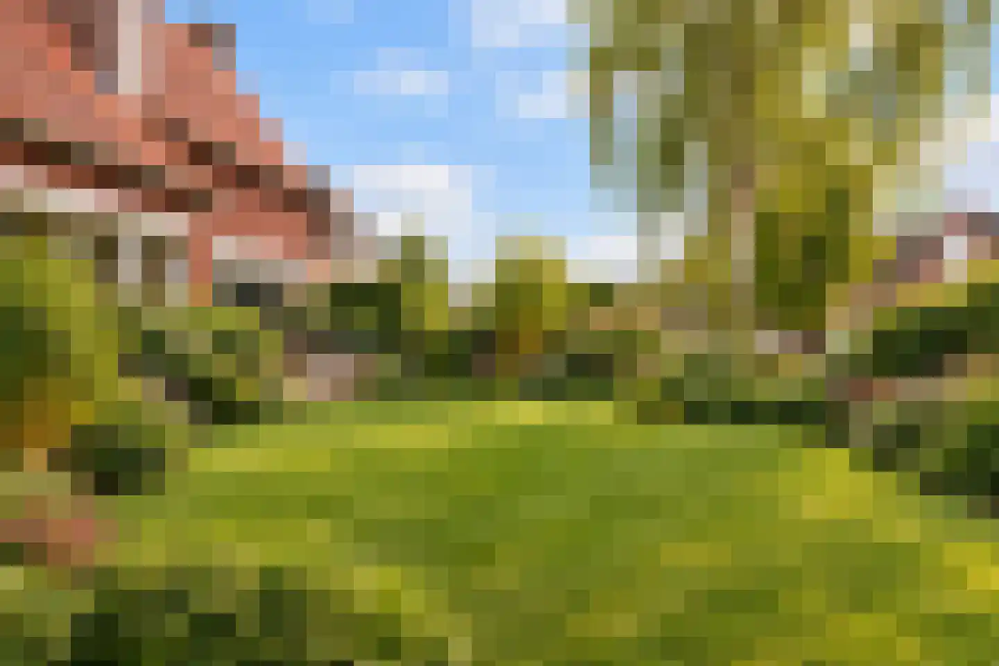 Fortuinstraat 45 Roosendaal thumbnail 42