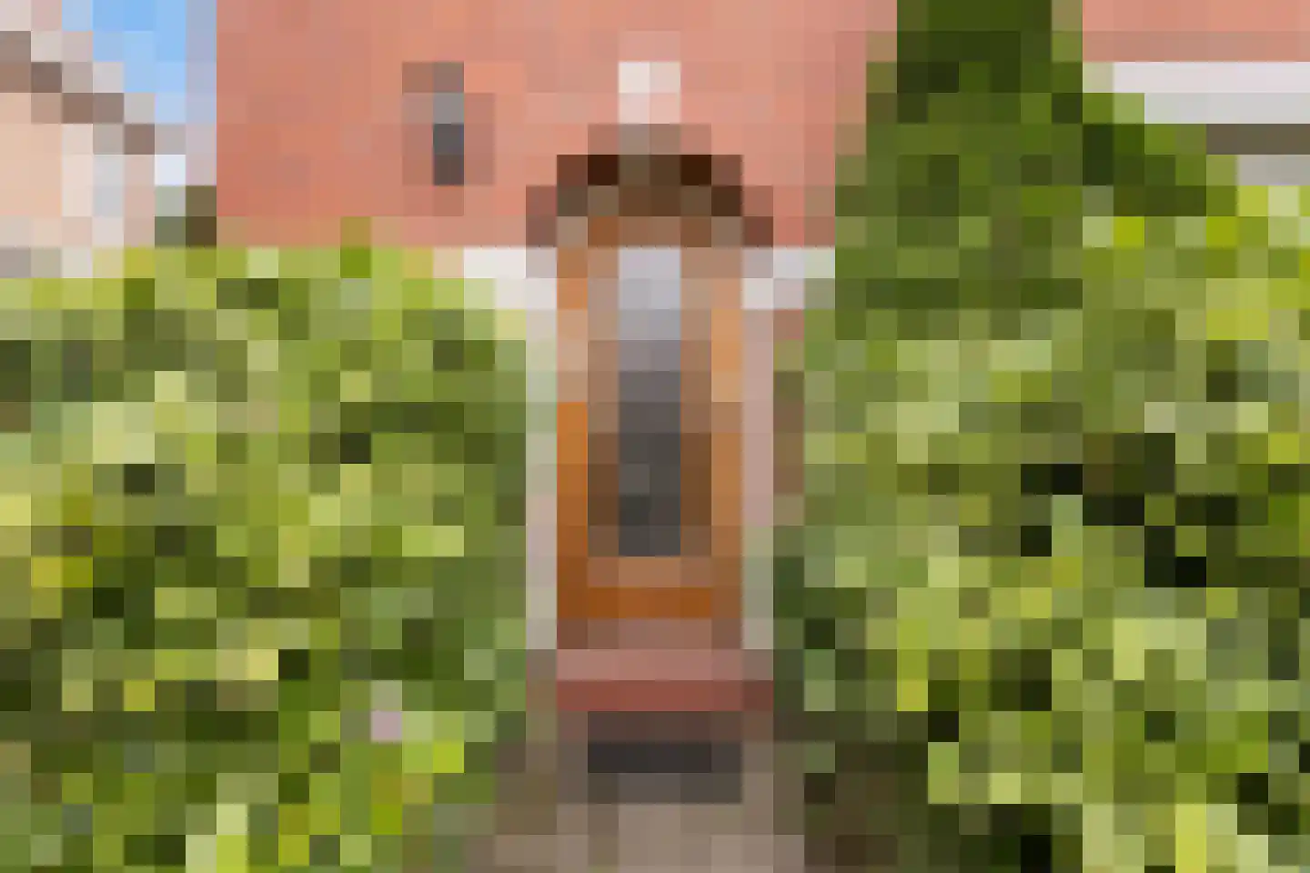 Fortuinstraat 45 Roosendaal thumbnail 7