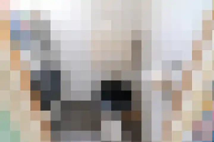 Fortuinstraat 8 Delft thumbnail 15