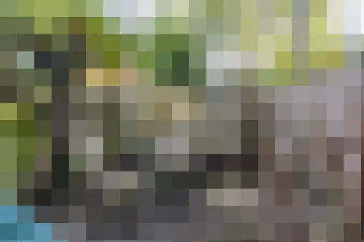 Fortuinstraat 8 Delft thumbnail 16