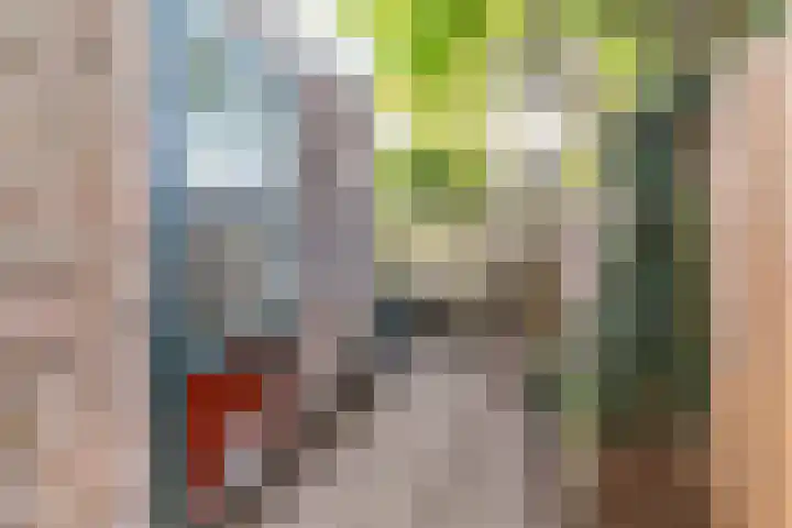 Fortuinstraat 8 Delft thumbnail 17