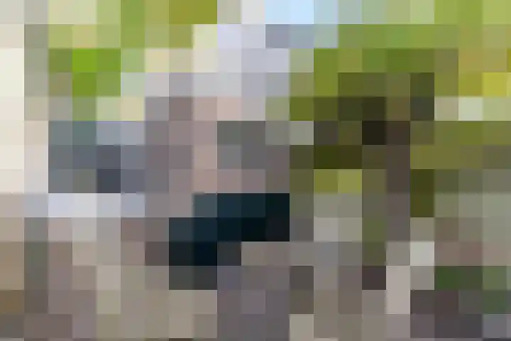 Fortuinstraat 8 Delft thumbnail 19