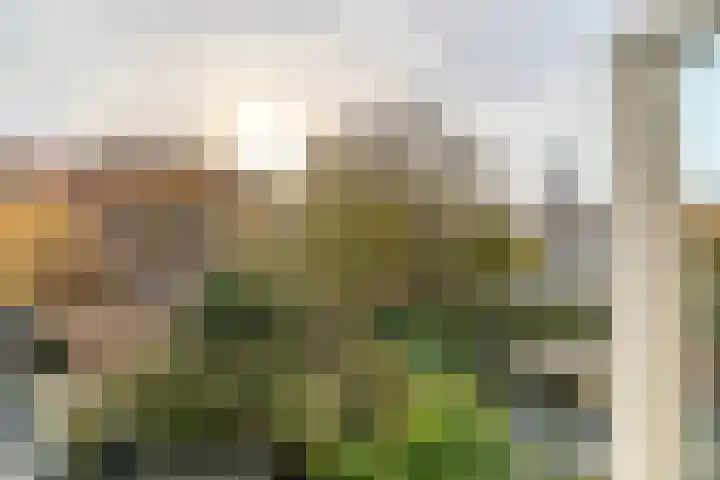 Fortuinstraat 8 Delft thumbnail 23