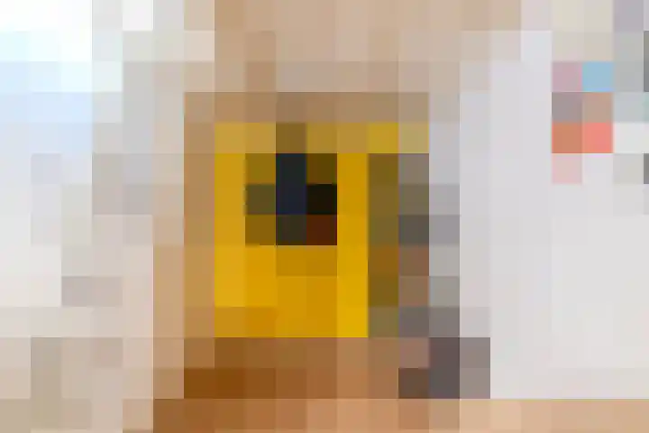 Fortuinstraat 8 Delft thumbnail 25