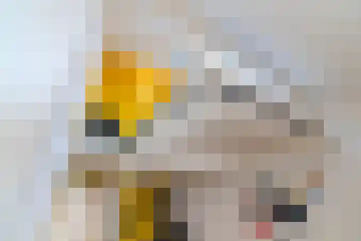Fortuinstraat 8 Delft thumbnail 26