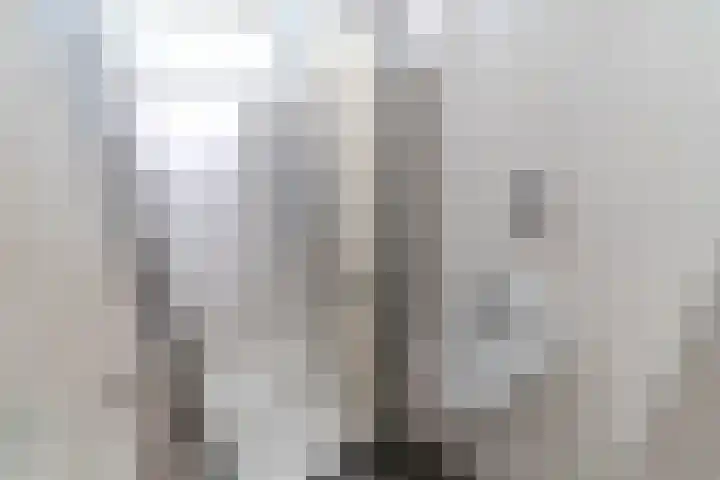 Fortuinstraat 8 Delft thumbnail 27