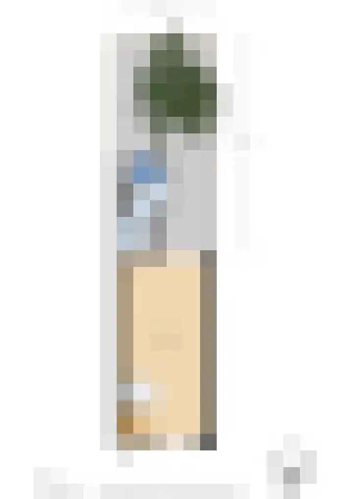 Fortuinstraat 8 Delft thumbnail 36