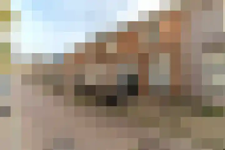 Fortuinstraat 8 Delft thumbnail 5