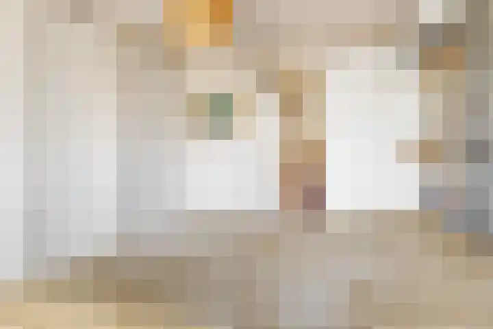 Fortuinweg 4 Zaandijk thumbnail 13