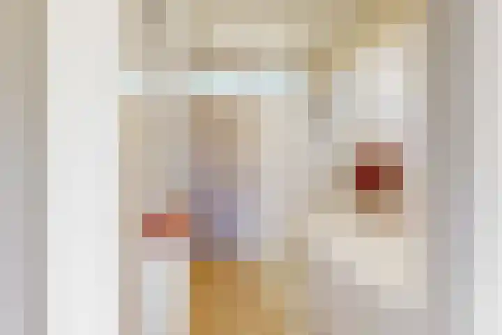 Fortuinweg 4 Zaandijk thumbnail 15