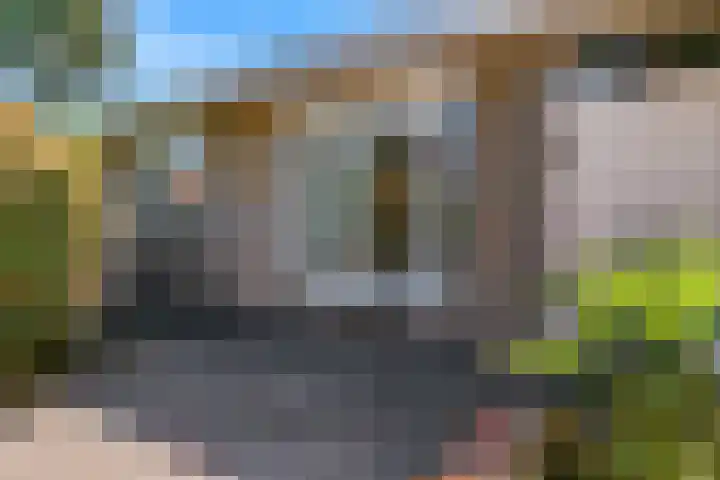 Fortuinweg 4 Zaandijk thumbnail 19