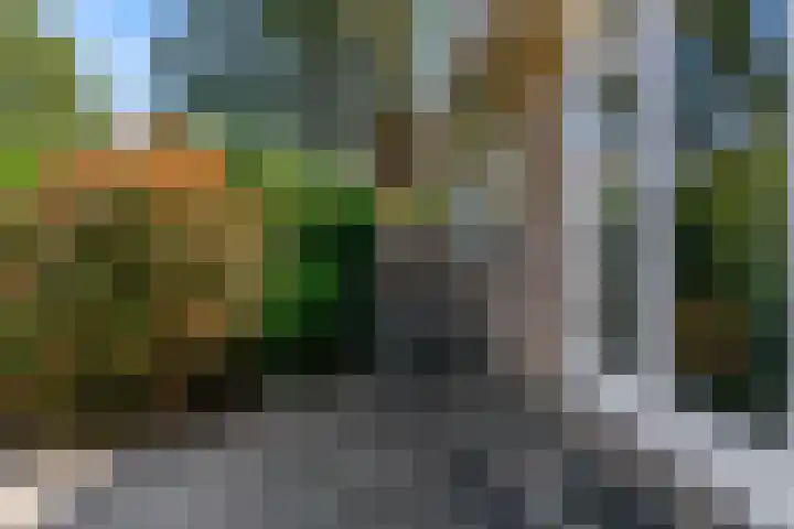 Fortuinweg 4 Zaandijk thumbnail 20