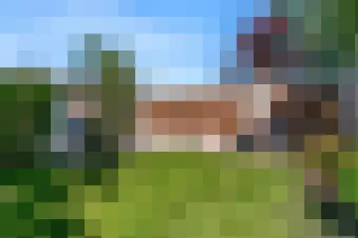 Fortuinweg 4 Zaandijk thumbnail 21