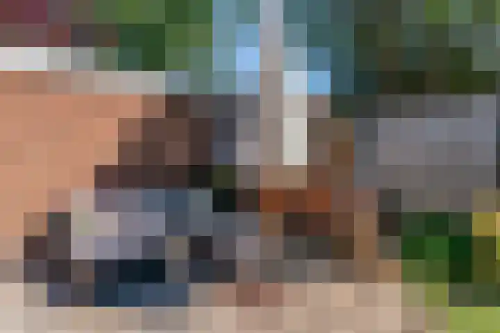 Fortuinweg 4 Zaandijk thumbnail 23