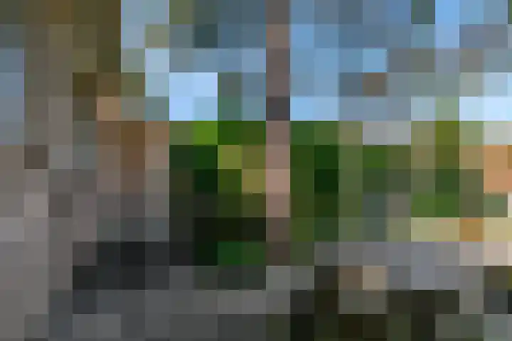 Fortuinweg 4 Zaandijk thumbnail 27