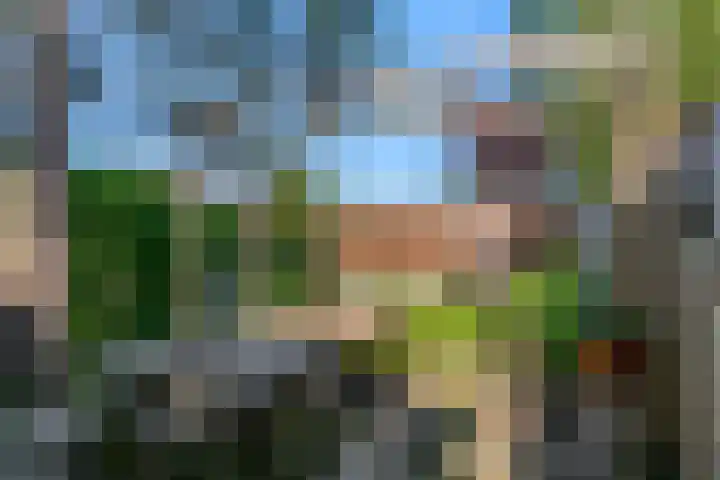 Fortuinweg 4 Zaandijk thumbnail 28