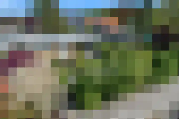 Fortuinweg 4 Zaandijk thumbnail 29
