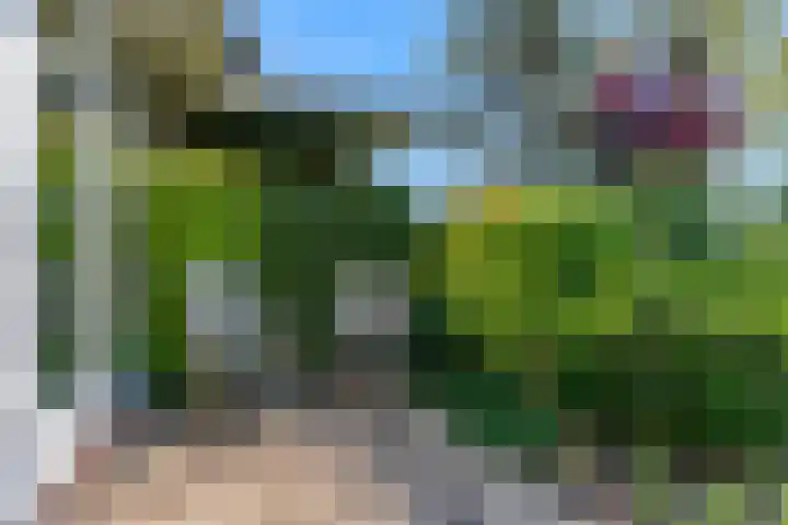 Fortuinweg 4 Zaandijk thumbnail 35