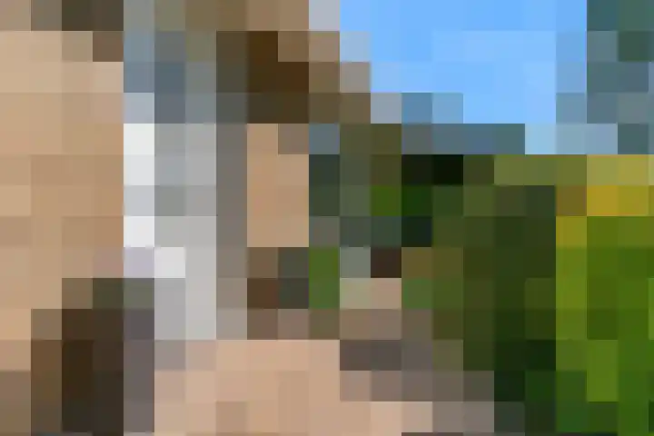 Fortuinweg 4 Zaandijk thumbnail 36