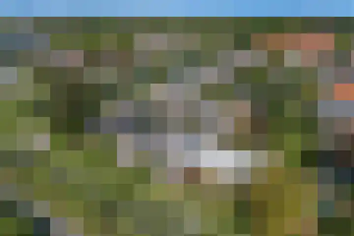 Fortuinweg 4 Zaandijk thumbnail 41