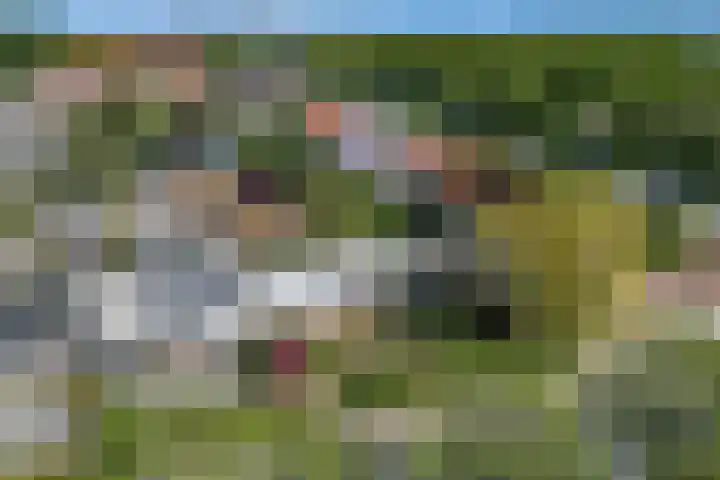 Fortuinweg 4 Zaandijk thumbnail 42