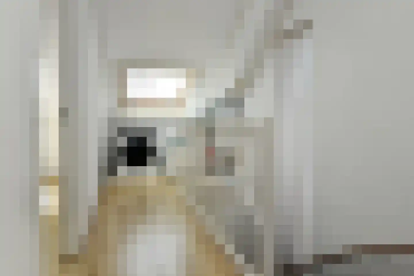 Fortuna 22 Elst thumbnail 28