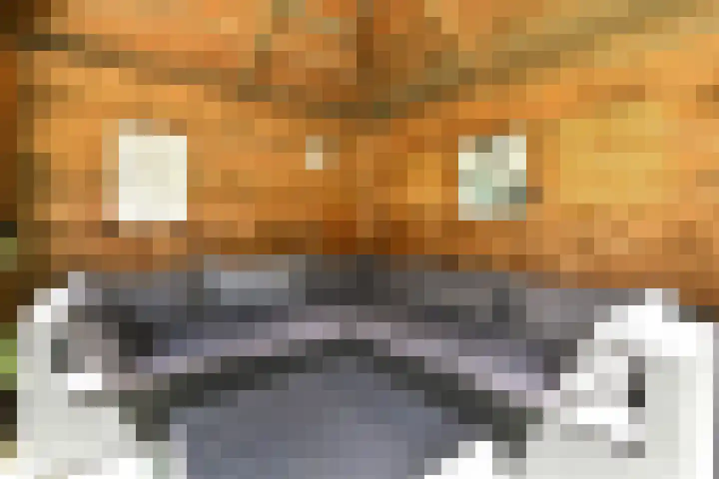 Fortuna 22 Elst thumbnail 39
