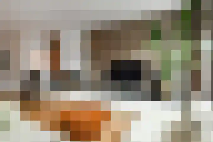 Fortuna 38 Elst thumbnail 10