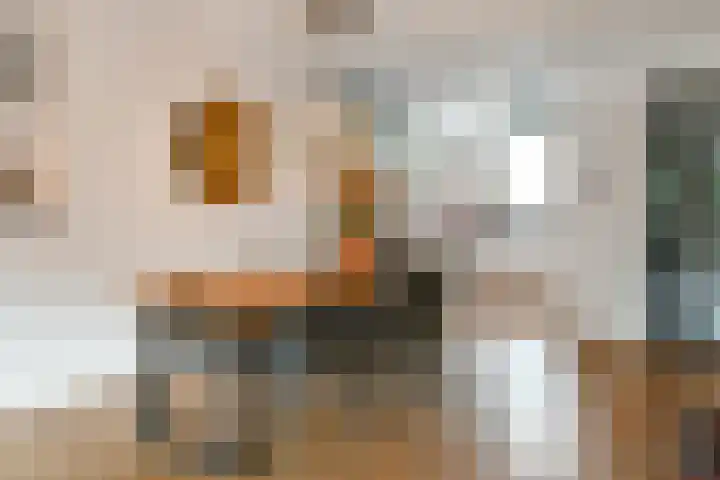 Fortuna 38 Elst thumbnail 13