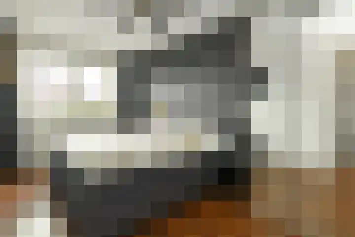 Fortuna 38 Elst thumbnail 19