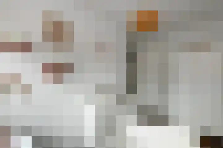 Fortuna 38 Elst thumbnail 23