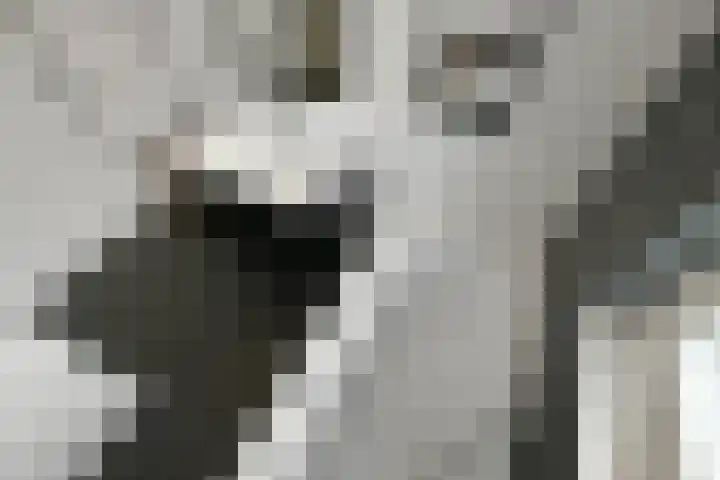 Fortuna 38 Elst thumbnail 28