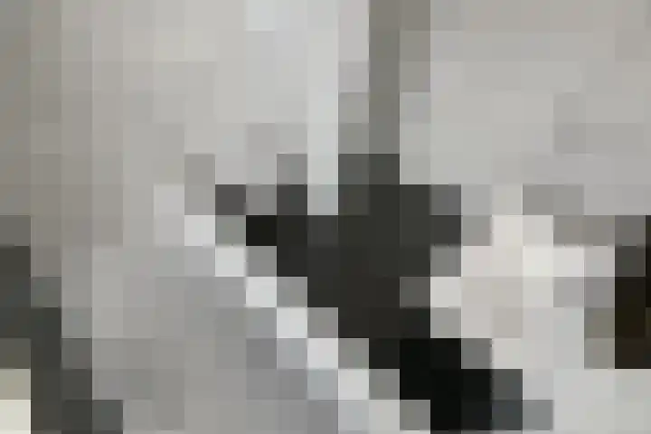 Fortuna 38 Elst thumbnail 29