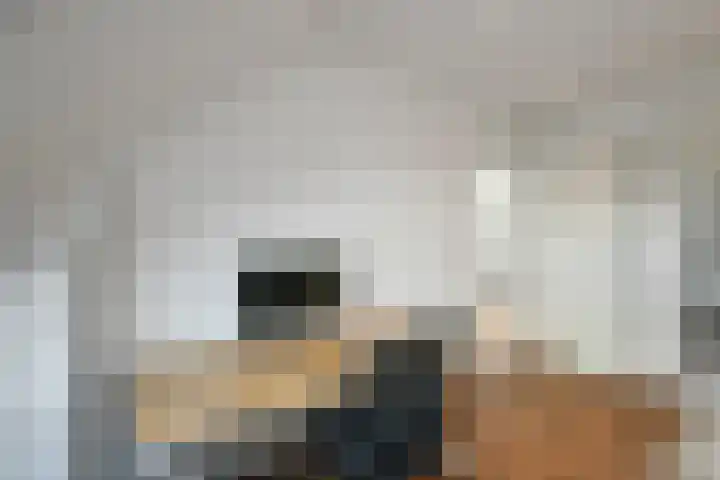 Fortuna 38 Elst thumbnail 39