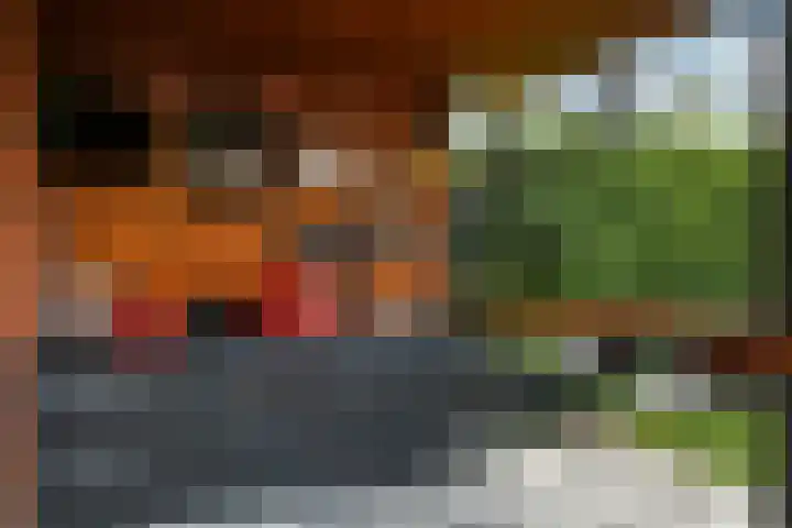 Fortuna 38 Elst thumbnail 46