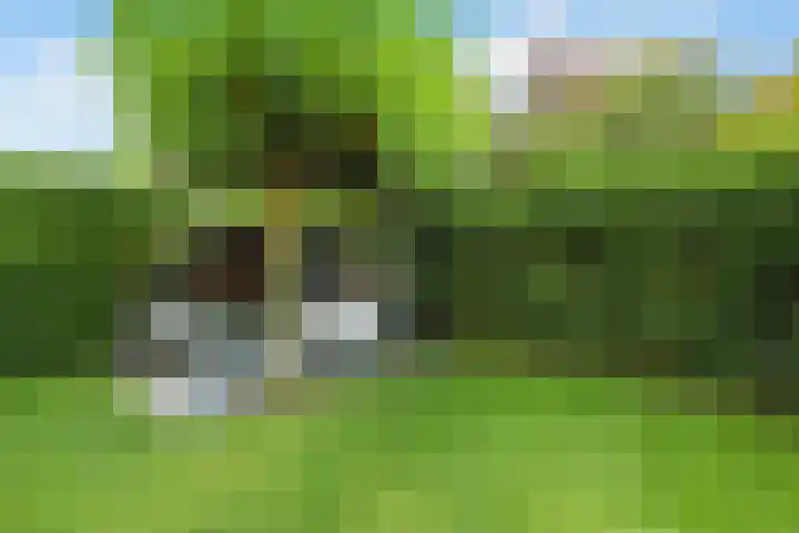Fortuna 38 Elst thumbnail 49