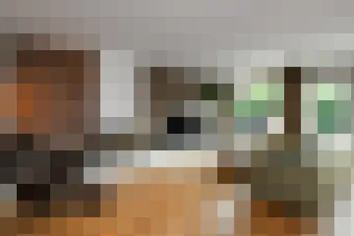 Fortuna 38 Elst thumbnail 7