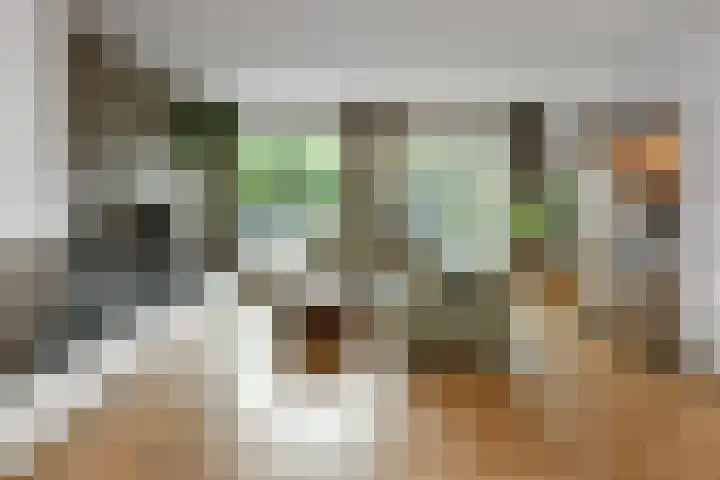 Fortuna 38 Elst thumbnail 8