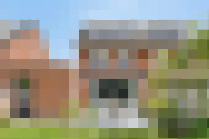Fortuna 83 Elst thumbnail 54