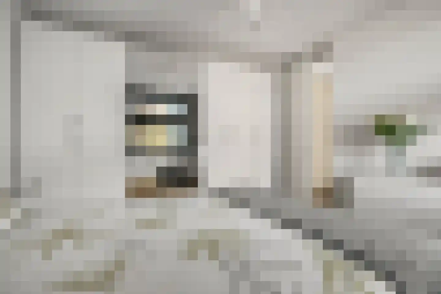 Fortunadreef 109 Utrecht thumbnail 13