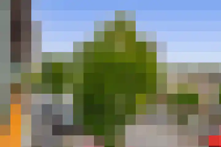 Fortunadreef 11 Utrecht thumbnail 19