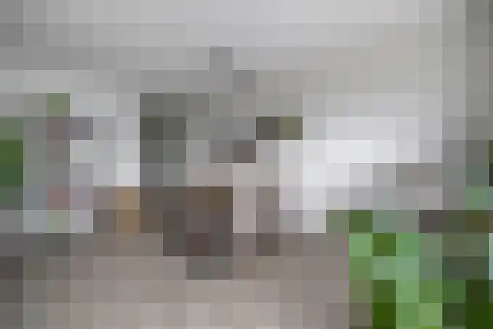 Fortunadreef 119 Utrecht thumbnail 21