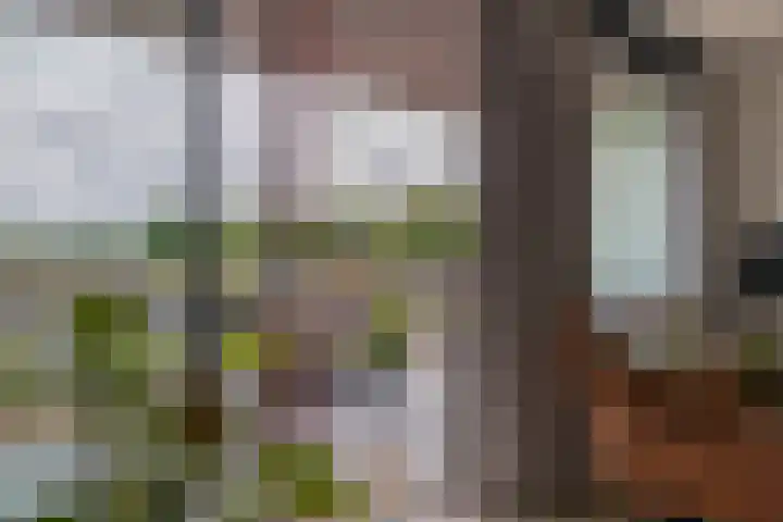 Fortunadreef 119 Utrecht thumbnail 29