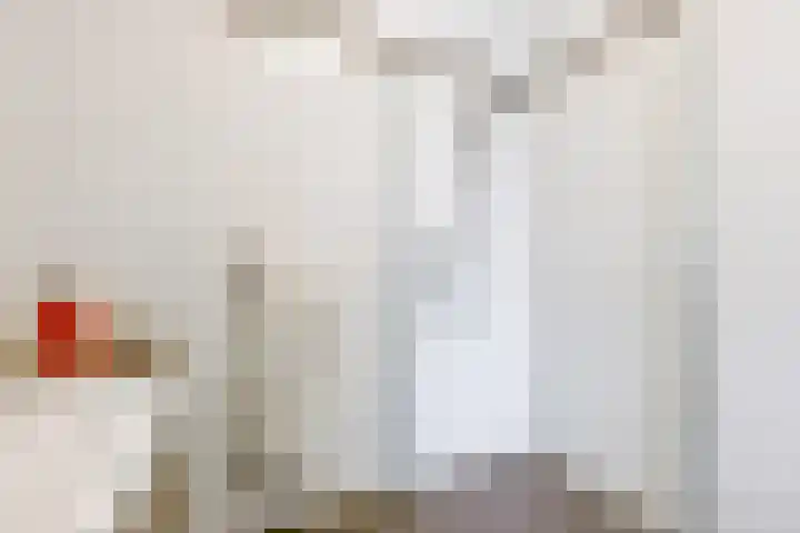 Fortunadreef 131 Utrecht thumbnail 32