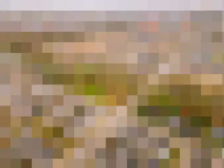 Fortunadreef 131 Utrecht thumbnail 48