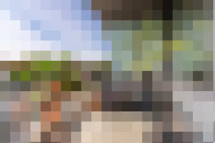 Fortunadreef 135 Utrecht thumbnail 15