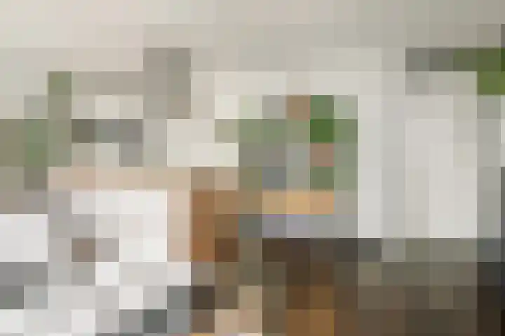 Fortunadreef 135 Utrecht thumbnail 21