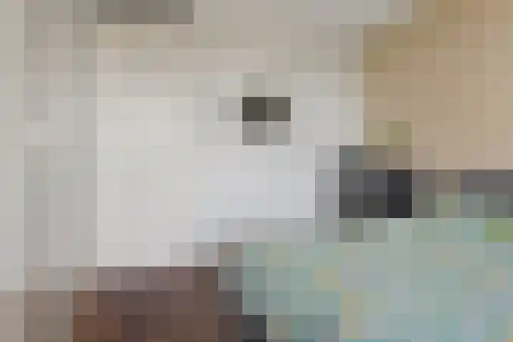 Fortunadreef 135 Utrecht thumbnail 24