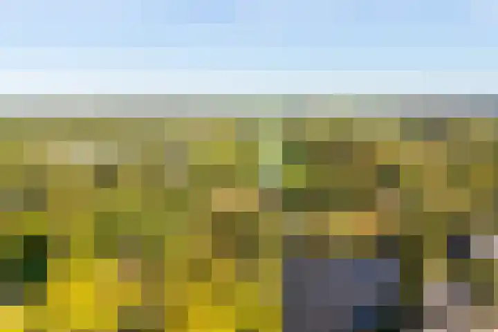 Fortunadreef 135 Utrecht thumbnail 31